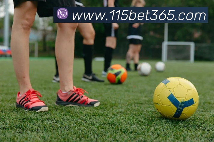 bet365中国官网发展历程